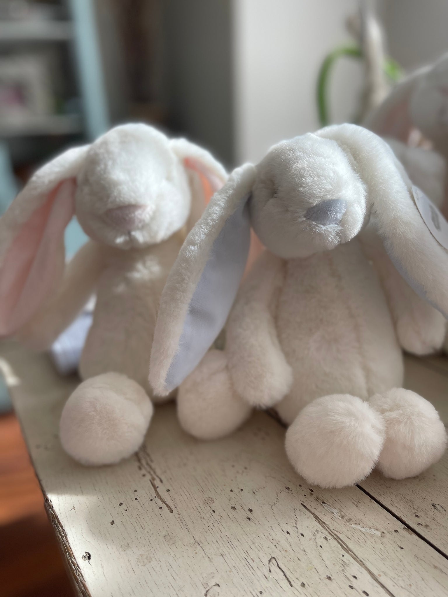 Small Plush Bunny