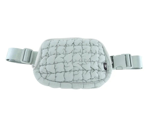 C. C. Quilted Puffer Belt Bag