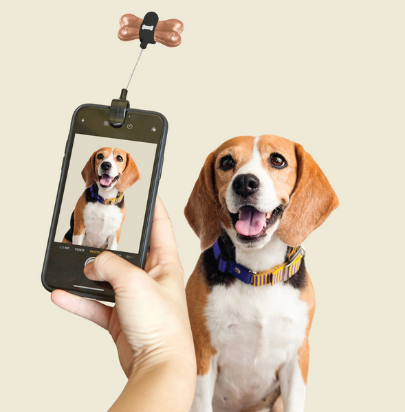 Dog Treat Selfie Clip