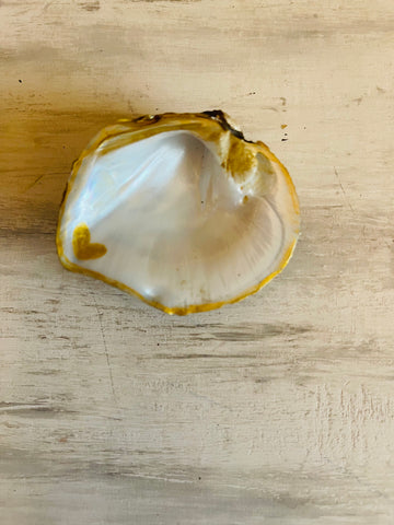 Small Natural Pearl Heart shell dish